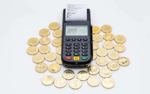 10万POS机刷卡费率(POSs机刷10万手续费)